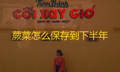 火影修改器(作弊菜单)蕨菜怎么保存到下半年